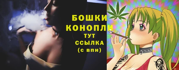 сатива Гусь-Хрустальный