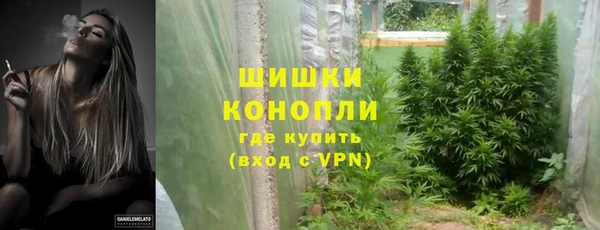 сатива Гусь-Хрустальный